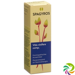 Spagyros Gemmo Comp Vitis vinifera Glyc Maz D 1 30 ml