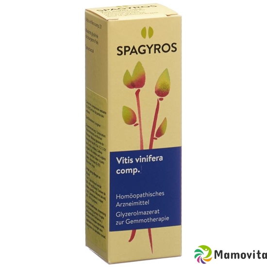 Spagyros Gemmo Comp Vitis vinifera Glyc Maz D 1 30 ml buy online