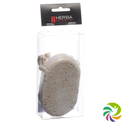 Herba pumice