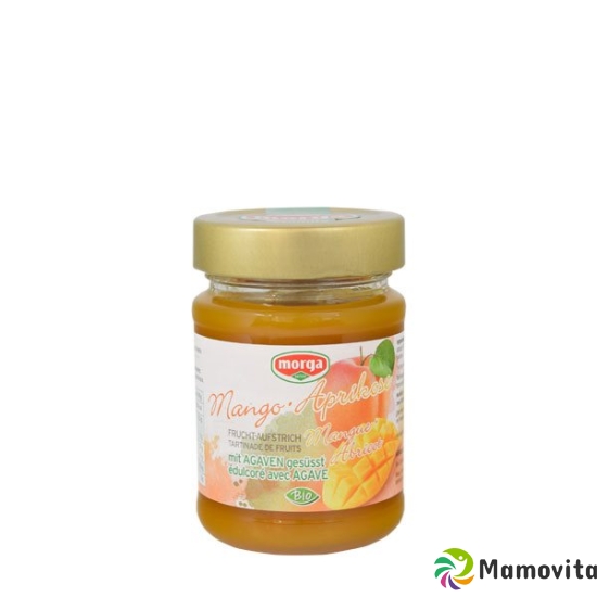 Morga jam mango apricot Agave Bio 175 g buy online