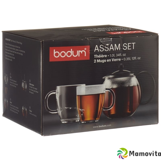 Bodum set tea maker 1L stainless steel filter 2 cups buy online