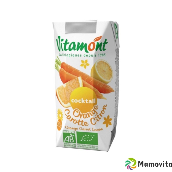 Vitamont Reiner Orange and carrot lemon juice 6 x 200 ml buy online