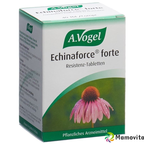 A.Vogel Echinaforce forte tablets 40 pcs buy online