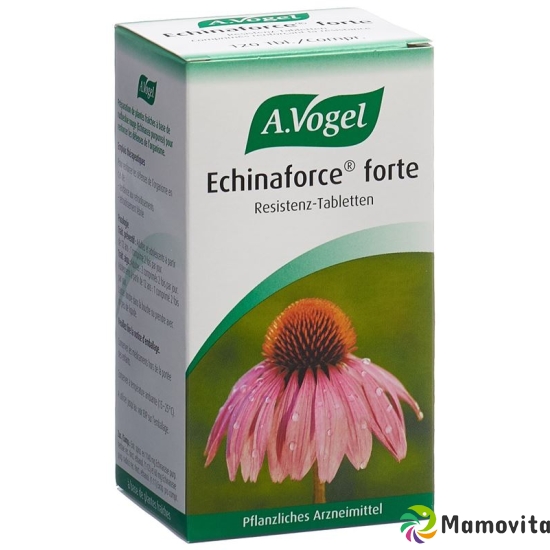 A. Vogel Echinaforce forte tablets 120 pcs buy online