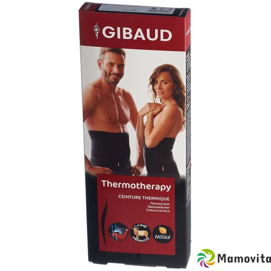 GIBAUD Sashes Thermo M 25cm anthracite buy online