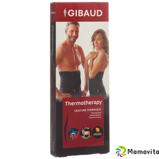 GIBAUD Sashes Thermo L 25cm anthracite buy online