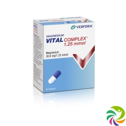 Magnesium Vital Complex Kaps 25.1 mmol 40 pcs