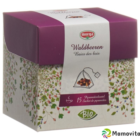 Morga berries fruit pyramid teabags Bio 15 pcs buy online