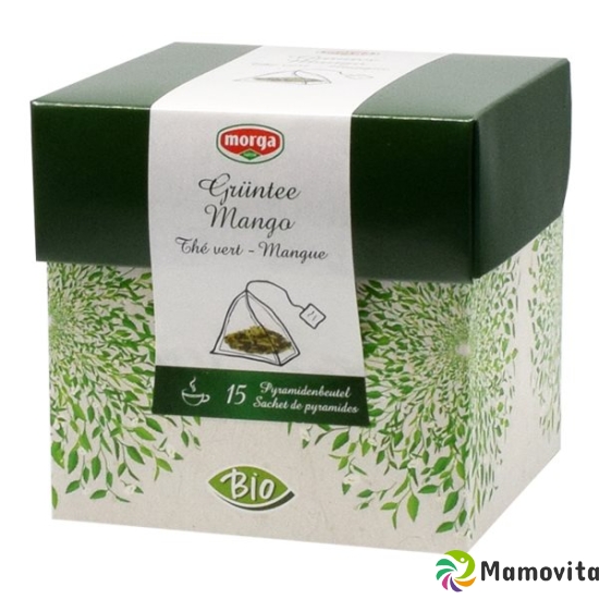 Morga Mango Grüntee Pyramide Bio 15 Stück buy online