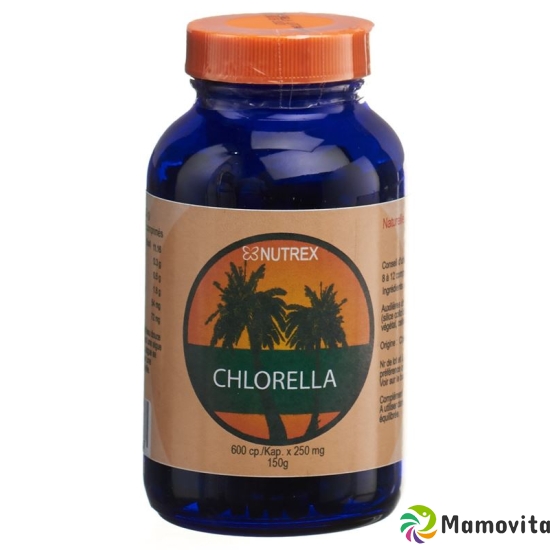 NUTREX Chlorella tbl 500 mg 300 pcs buy online