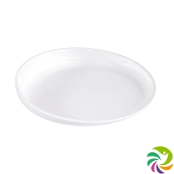 Sundo plate with raised edge Deluxe ø20cm white slip