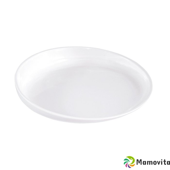 Sundo plate with raised edge Deluxe ø20cm white slip buy online