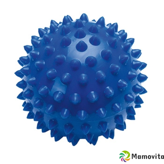 Sundo massage pin ball ø10cm blue buy online