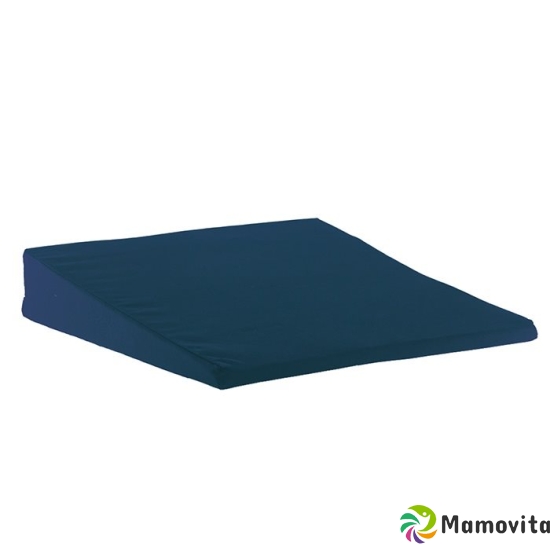 Sundo bolsters 370x370x70 / 20mm blue cover removable buy online