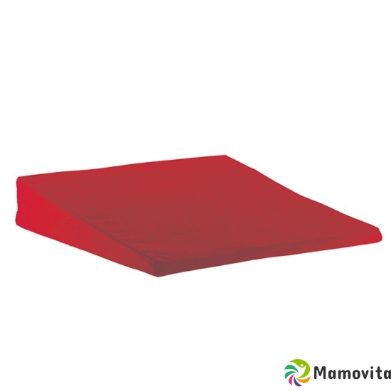 Sundo bolsters 370x370x70 / 20mm red removable cover buy online