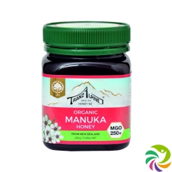 Hoyer Manuka Honey MGO 250+ Bio 250 g