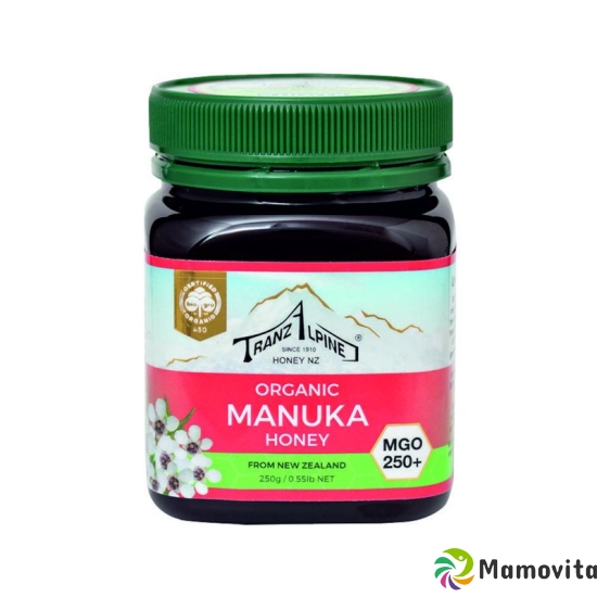 Hoyer Manuka Honey MGO 250+ Bio 250 g buy online