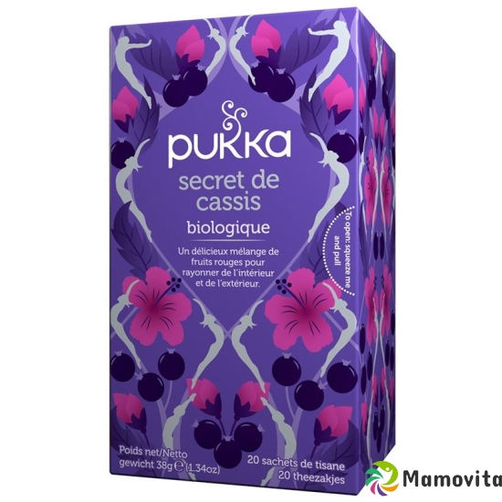 Pukka Secret de Cassis Thé bio Btl 20 pcs buy online