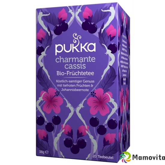 Pukka Charming Cassis tea organic Btl 20 pcs buy online