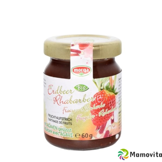 Morga fruit spread strawberry-rhubarb Agave Bio 60 g buy online