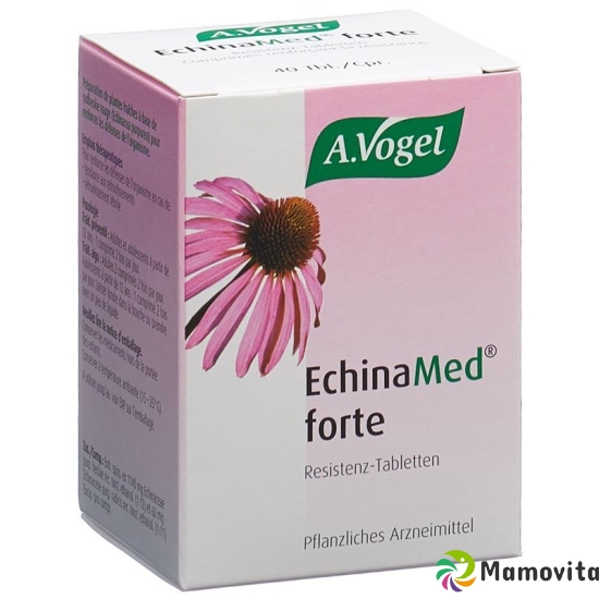 EchinaMed forte resistance tablets 40 pcs buy online