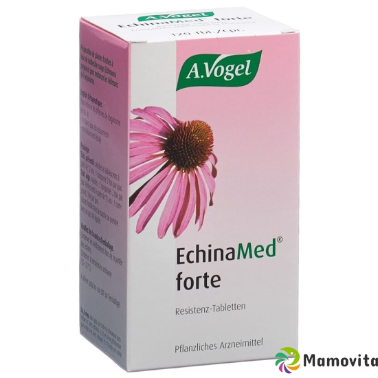 EchinaMed resistance forte tablets 120 pcs buy online