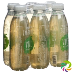 VIVITZ Bio iced tea green tea 6 x 0.5 lt