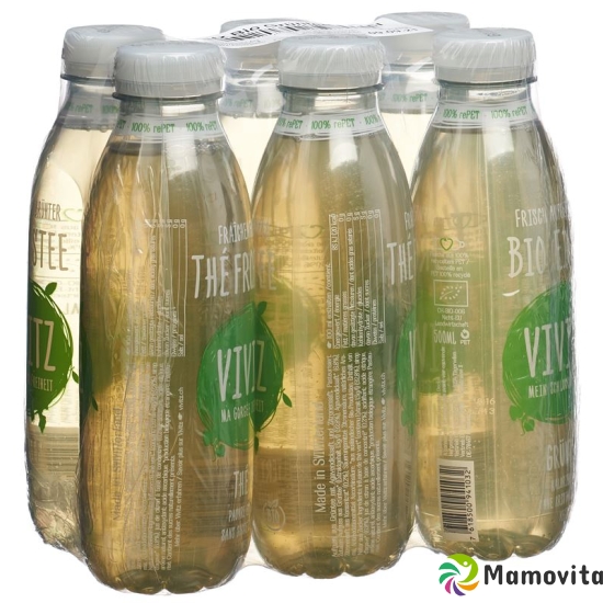 VIVITZ Bio iced tea green tea 6 x 0.5 lt buy online