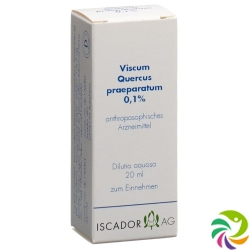 Iscador Viscum Quercus Praeparatum 0.1% Dilutio aquosa 20 ml