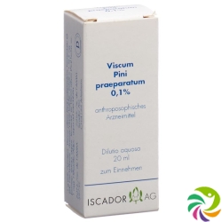 Iscador Viscum Pini Praeparatum 0.1% Dilutio aquosa 20 ml