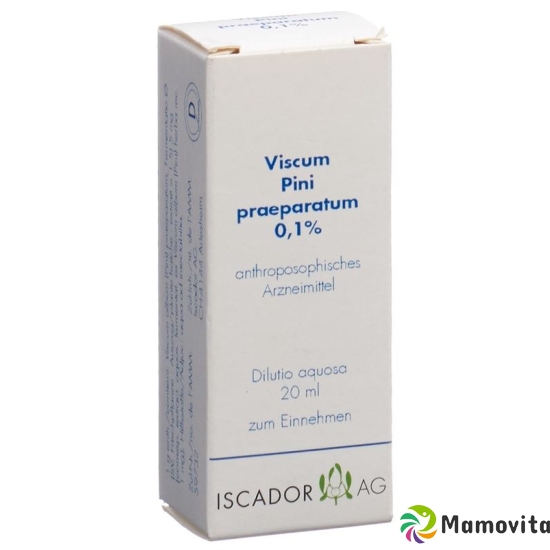 Iscador Viscum Pini Praeparatum 0.1% Dilutio aquosa 20 ml buy online