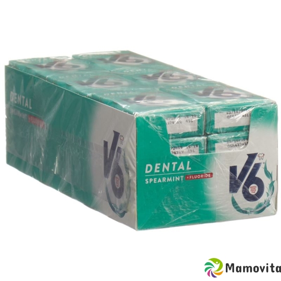 V6 Dental Care Gum Spearmint + 24 fluorides Box buy online