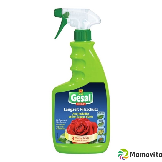 Gesal Langzeit-Pilzschutz Folicur Rtu 750ml buy online