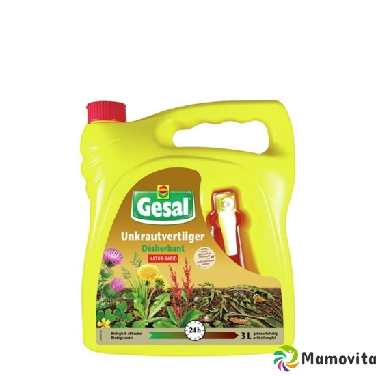 Gesal Unkrautvertilger Natur Rapid 3L buy online