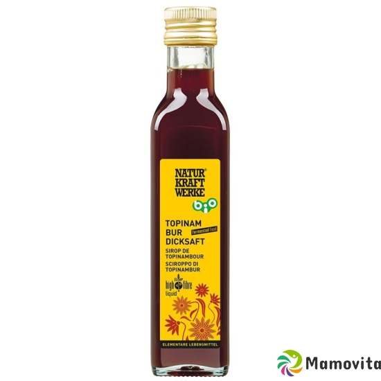 Naturkraftwerke Topinambur Saft Kon Bio/kba 250ml buy online