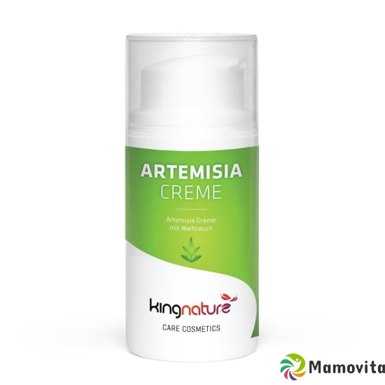 Kingnature Artemisia Cream Dispenser 30 ml buy online