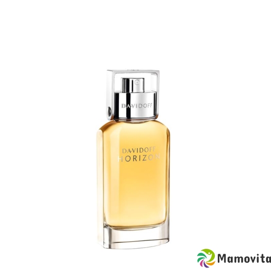 Davidoff Horizon Eau de Toilette Spray 40ml buy online