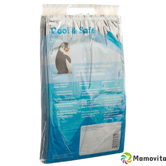 COOL & SAFE cooling bag 10 pcs buy online