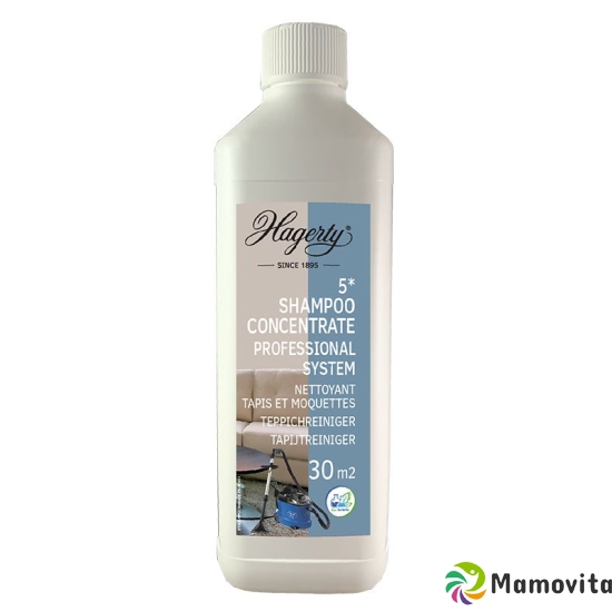 Hagerty 5 * Shampoo Concentrate 500 ml buy online