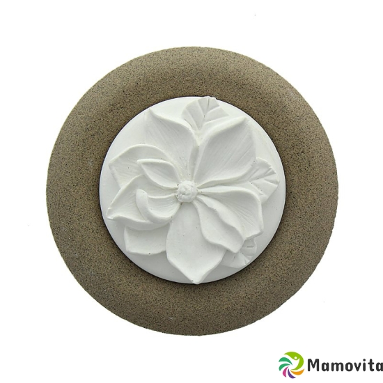 Herboristeria Fragrance Stone Flower On Plate Beige buy online