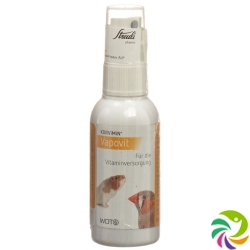 Korvimin Vapovit Liquid Spray 50ml