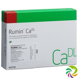 Rumin Ca 4x 105g