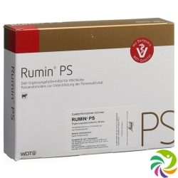 Rumin Ps 4x 100g