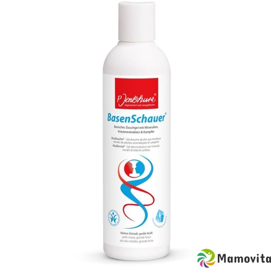 Jentschura Base shower gel 250 ml buy online