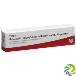 Wala Rosae aetherolum / Silica colloidalis ointment comp. Tb 100 g