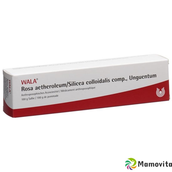 Wala Rosae aetherolum / Silica colloidalis ointment comp. Tb 100 g buy online