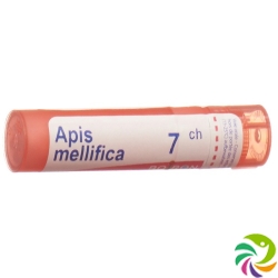 Apis mellifera Boiron Gran C 7 4 g