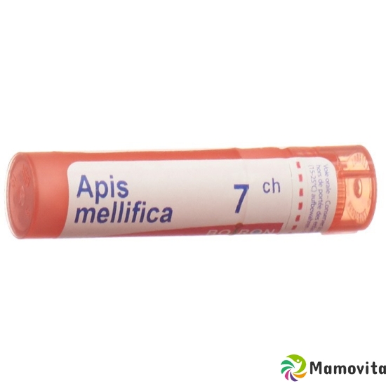 Apis mellifera Boiron Gran C 7 4 g buy online