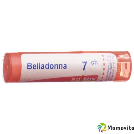 Boiron Belladonna Gran C 7 4g buy online