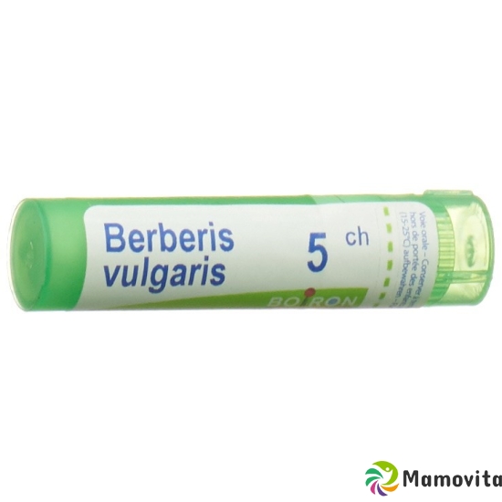 Boiron Berberis vulgaris Gran C5 4g buy online